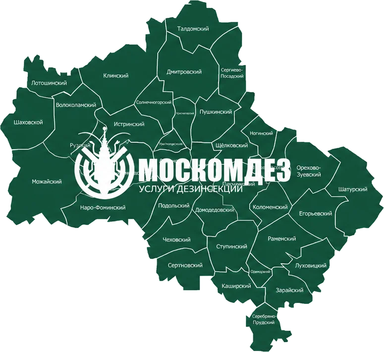 Карта выезда: Ногинск и Московская область